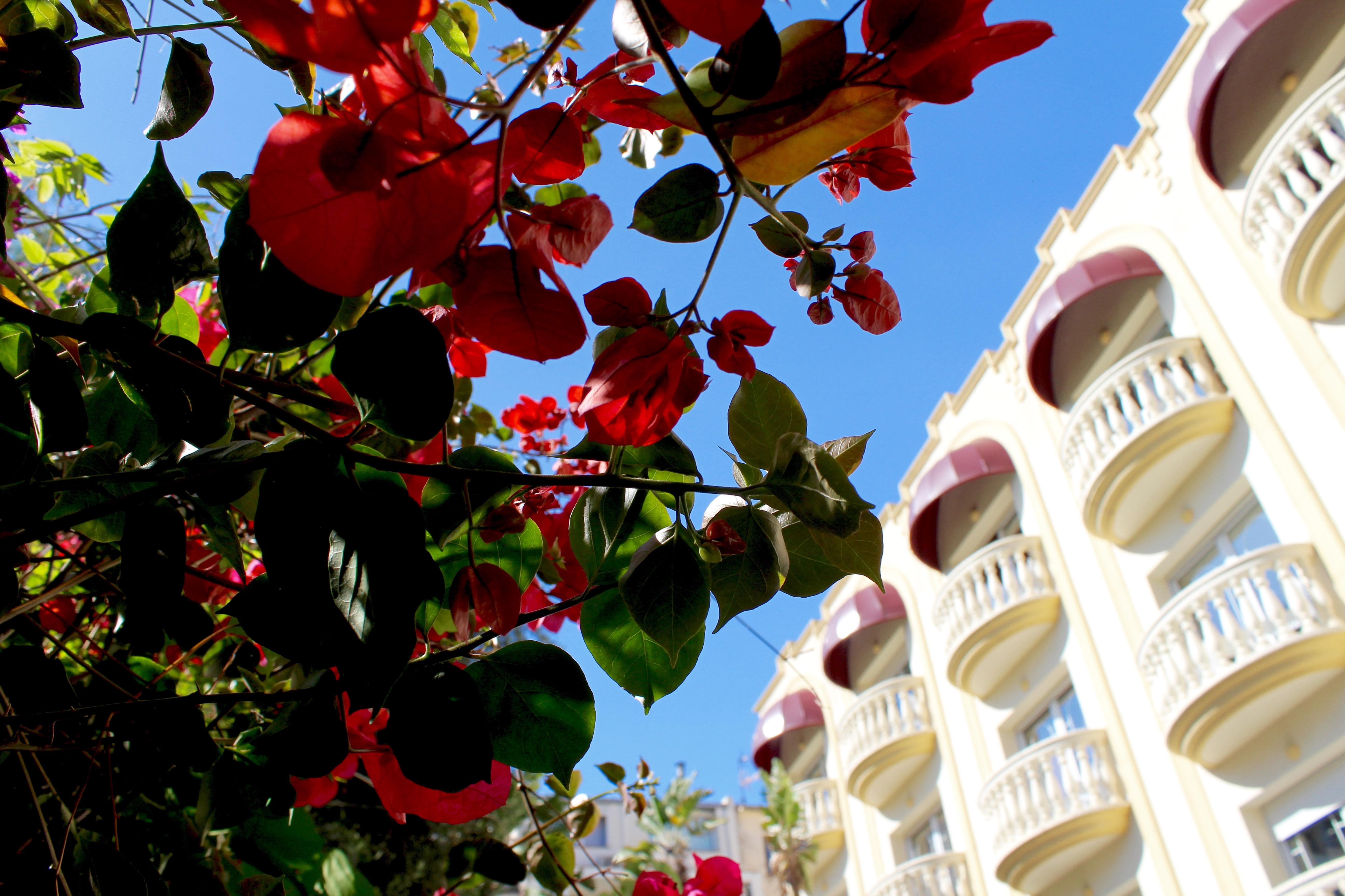 Urh Sitges Playa Hotel Luaran gambar